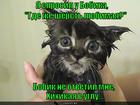 https://lolkot.ru/2015/10/09/ya-sprosil-u-bobika/