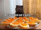 https://lolkot.ru/2012/10/16/ya-stolko-ne-sem/