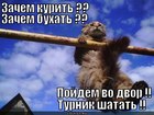 https://lolkot.ru/2012/08/01/ya-tvoy-turnik-shatal/