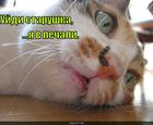 https://lolkot.ru/2010/10/01/ya-v-pechali-2/