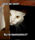 https://lolkot.ru/2012/06/19/ya-vas-ne-zval/