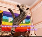 https://lolkot.ru/2012/06/26/ya-vzletayu-2/