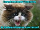 https://lolkot.ru/2016/07/13/yablokoneprobivayemaya/