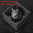 https://lolkot.ru/2015/05/02/yedinokubstvennyy/