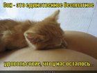 https://lolkot.ru/2011/12/14/yedinstvennoye-besplatnoye-udovolstviye/