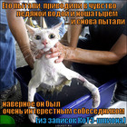 https://lolkot.ru/2011/12/09/yego-pytali/