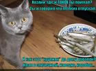 https://lolkot.ru/2015/08/14/yele-dovolok/