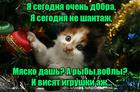 https://lolkot.ru/2016/01/04/yelka-ili-yeda-vybiray/