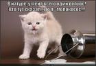 https://lolkot.ru/2013/05/15/yeschyo-litruha-i-budet-mokruha/