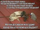 https://lolkot.ru/2012/10/22/yesli-b-2/