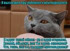 https://lolkot.ru/2015/06/30/yesli-mamka-na-diyete-to-stradayut-yeyo-deti/