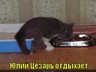 https://lolkot.ru/2012/03/05/yuliy-tsezar-otdyhayet/