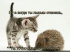 https://lolkot.ru/2024/10/19/yunyy-naturalist/