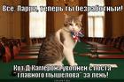 https://lolkot.ru/2012/09/18/za-len/