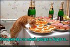https://lolkot.ru/2010/09/29/za-mnoy-doyedat/