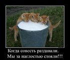 https://lolkot.ru/2012/06/29/za-naglostyu-stoyali/