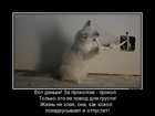 https://lolkot.ru/2012/01/13/za-prokolom-prokol/