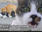 https://lolkot.ru/2011/03/25/zaberi-menya/