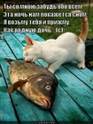 https://lolkot.ru/2012/02/20/zabud-obo-vsyom/