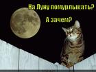 https://lolkot.ru/2012/09/11/zachem-4/