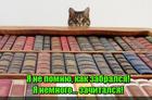 https://lolkot.ru/2016/09/16/zachitavshiysya/