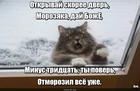 https://lolkot.ru/2024/05/08/zadvernyy-otmorozok/