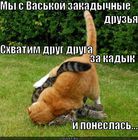 https://lolkot.ru/2011/06/30/zakadychnyye-druzya/