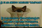 https://lolkot.ru/2016/02/12/zaklinaniye-dlya-dzhinnov/