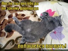 https://lolkot.ru/2011/11/14/zakon-darmoyeda/