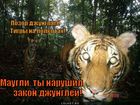 https://lolkot.ru/2010/12/25/zakon-dzhungley/