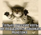 https://lolkot.ru/2010/01/30/zakony-nyutona/