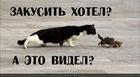 https://lolkot.ru/2010/08/04/zakusit-hotel/