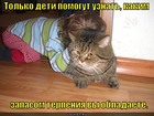 https://lolkot.ru/2011/11/27/zapas-terpeniya/