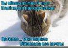 https://lolkot.ru/2013/05/09/zaraza-3/