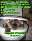 https://lolkot.ru/2017/02/09/zarozhdeniye-krasy/