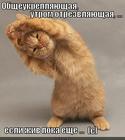 https://lolkot.ru/2012/09/08/zaryadochka/