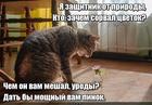 https://lolkot.ru/2025/07/01/zaschitnyy-pinok/