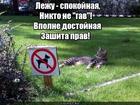 https://lolkot.ru/2017/01/02/zaschitnyy-znak/