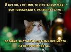 https://lolkot.ru/2020/12/31/zastolnyy-popechitel/