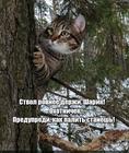 https://lolkot.ru/2025/03/19/zastvolnyy-instruktazh/