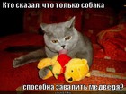 https://lolkot.ru/2011/11/09/zavalit-medvedya/