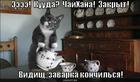 https://lolkot.ru/2012/04/07/zavarka-konchilsya/