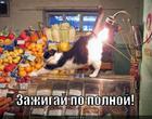 https://lolkot.ru/2012/11/11/zazhigay-po-polnoy/