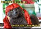 https://lolkot.ru/2012/11/05/zazhralis/
