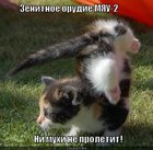 https://lolkot.ru/2011/12/13/zenitnoye-orudiye-myau-2/