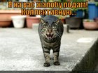 https://lolkot.ru/2012/07/22/zhaloba/