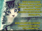 https://lolkot.ru/2012/07/11/zhalobno-prositelnyy-vzglyad/