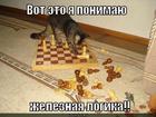 https://lolkot.ru/2011/02/24/zheleznaya-logika/