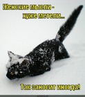https://lolkot.ru/2012/01/14/zhenskiye-mysli/