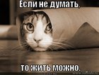 https://lolkot.ru/2011/11/25/zhit-mozhno/